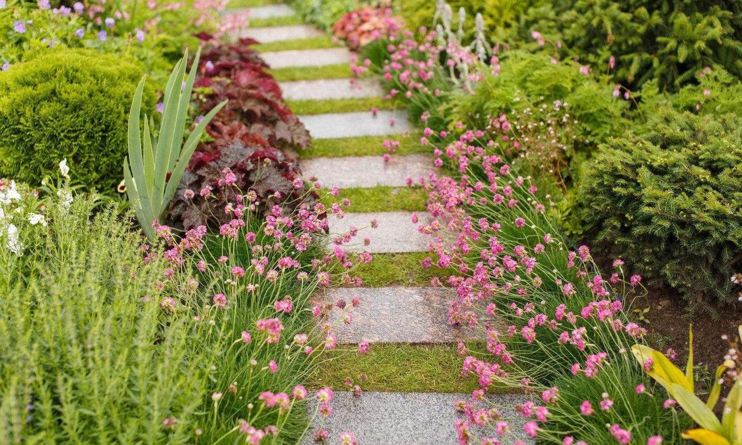 Landscaping Cappoquin County Waterford