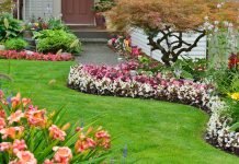 Landscaping {towns(town)}