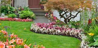Landscaping {towns(town)}