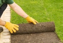 New Turf Lawns {towns(town)}