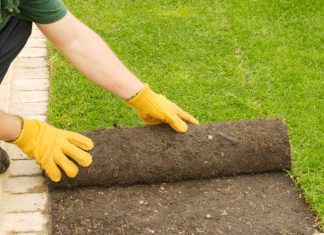 New Turf Lawns {towns(town)}