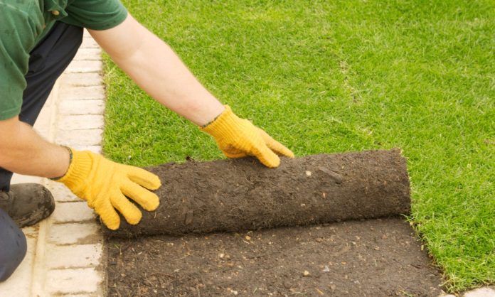 New Turf Lawns {towns(town)}